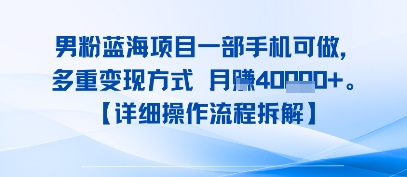 8月新男粉蓝海项目一部手机可做,多重变现方式 月入4W 【详细操作流程拆解】-51云资源