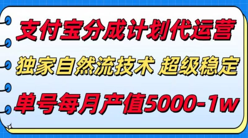 支付宝分成计划代运营，独家自然流技术，收益稳定，单号月产5000＋-51云资源