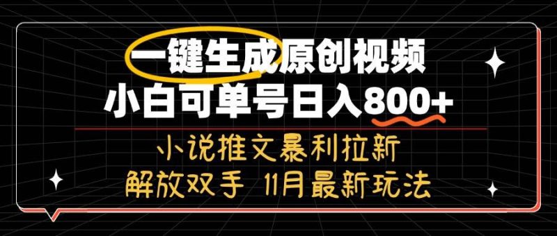 (13215期)11月最新玩法小说推文暴利拉新,一键生成原创视频,小白可单号日入800 …-51云资源