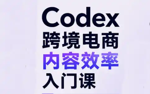 Codex跨境电商内容效率入门课-51云资源