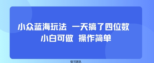 小众蓝海玩法 一天搞了四位数 小白可做 操作简单-51云资源