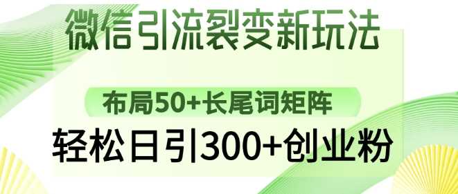 微信引流裂变新玩法：布局50 长尾词矩阵，轻松日引300 创业粉-51云资源