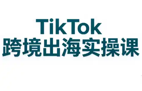 彭老师·TikTok跨境出海实操课-51云资源