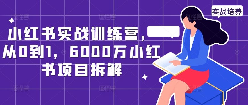 小红书实战训练营，从0到1，6000万小红书项目拆解-51云资源