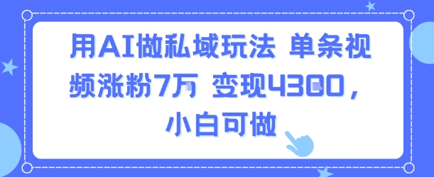 用AI做私域玩法，单条视频涨粉7W变现4.3k，小白可做-51云资源