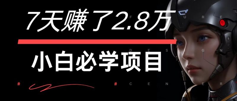 7天赚了2.8万！每单利润最少500 ，轻松月入7万 小白有手就行-51云资源