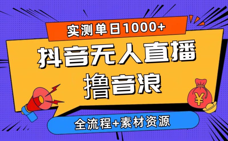 (10274期)2024抖音无人直播撸音浪新玩法 日入1000 全流程 素材资源-51云资源
