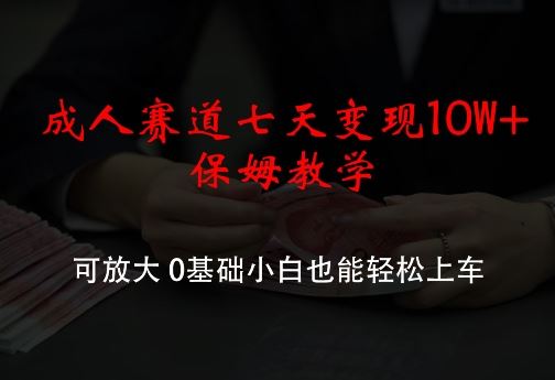 成人赛道七天变现10W 保姆教学,可放大,0基础小白也能轻松上车【揭秘】-51云资源