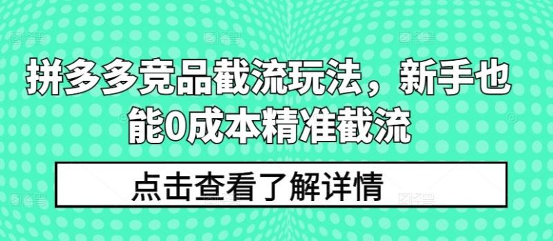 拼多多竞品截流玩法,新手也能0成本精准截流-51云资源