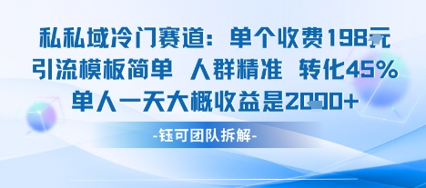 私域冷门赛道单个收费198米引流模板简单人群精准 45%的转化率单人一天大概收益多张-51云资源