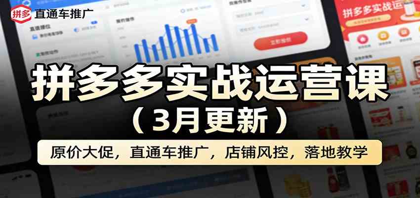 拼多多实战运营课（3月更新）：原价大促，直通车推广，店铺风控，落地教学-51云资源