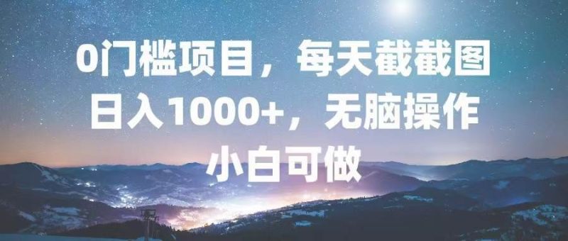 （13160期）0门槛项目，每天截截图，日入1000 ，轻松无脑，小白可做-51云资源