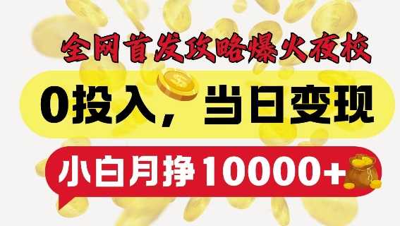 全网首发爆火夜校，0投入，当日变现，小白轻松月入1w 【揭秘】-51云资源