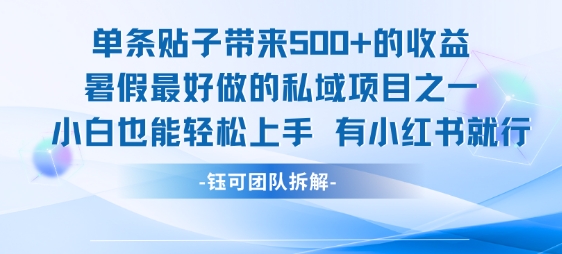 单条贴子带来5张的收益，暑假最好做的私域项目之一，小白也能轻松上手，有小红书就行-51云资源
