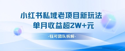 小红书私域项目新玩法,单月变现过W-51云资源