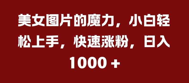 美女图片的魔力,小白轻松上手,快速涨粉,日入几张【揭秘】-51云资源