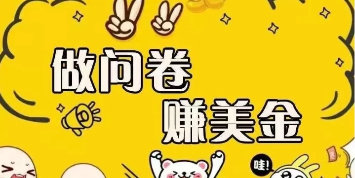 国外问卷调查小白在家也可批量操作（口子查站点查渠道查）真正的长久稳定项目 日入1500-51云资源