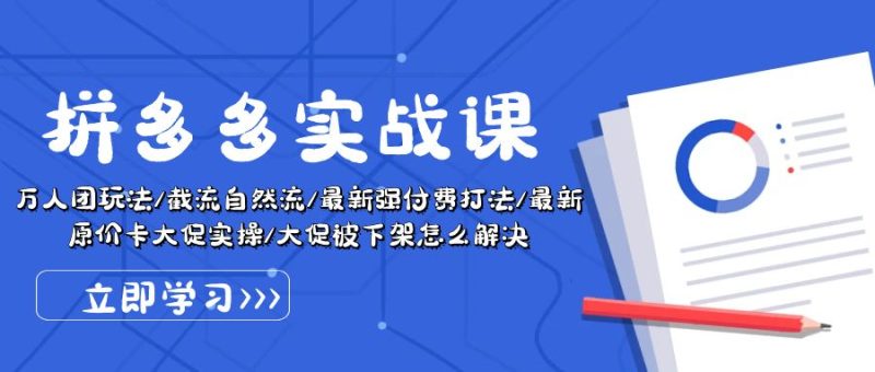 （10865期）拼多多·实战课：万人团玩法/截流自然流/最新强付费打法/最新原价卡大促..-51云资源