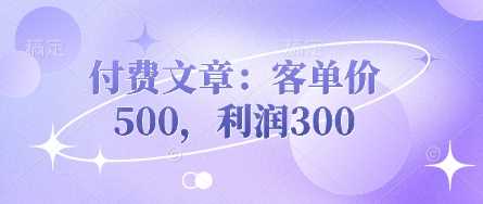 付费文章：客单价500，利润300-51云资源