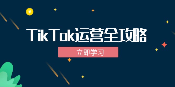 （12739期）TikTok实战运营全攻略：从下载软件到变现，抖音海外版实操教程-51云资源