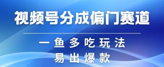 视频号创作者分成计划偏门类目,容易爆流,实拍内容简单易做【揭秘】-51云资源