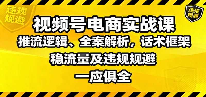 视频号电商实战课:推流逻辑、全案解析,话术框架,稳流量及违规规避等-51云资源