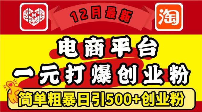 12月最新：电商平台1元打爆创业粉，简单粗暴日引500 精准创业粉，轻松月入过W【揭秘】-51云资源