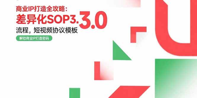 （15486期）商业IP打造全攻略：差异化SOP3.0流程，短视频协议模板，婚恋项目实战案例-51云资源