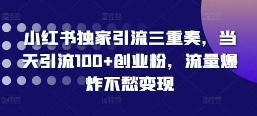 小红书独家引流三重奏，当天引流100 创业粉，流量爆炸不愁变现【揭秘】-51云资源