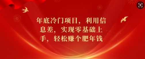 年底冷门项目，利用信息差，实现零基础上手，轻松赚个肥年钱【揭秘】-51云资源