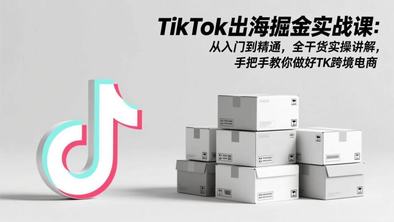 （17368期）TikTok出海掘金实战课：从入门到精通，全干货实操讲解，手把手教你做好TK跨境电商-51云资源