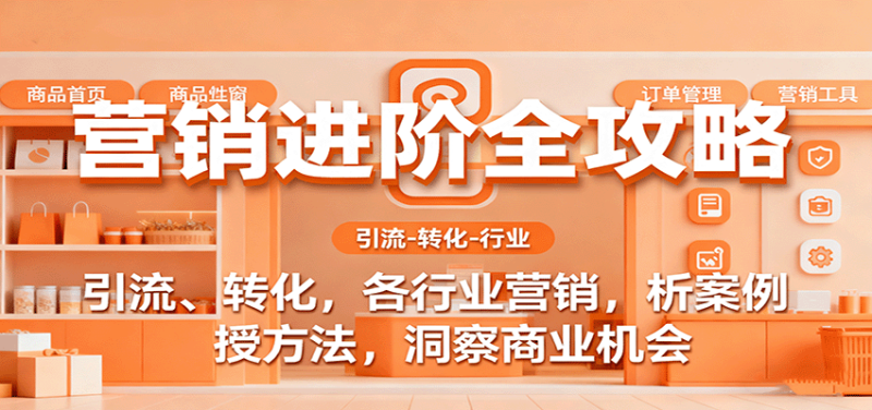 营销进阶全攻略,引流、转化,各行业营销,析案例,授方法,洞察商业机会-51云资源