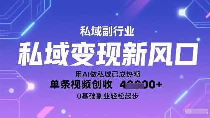 私域变现新风口：用AI做私域已成热潮，单条视频创收1k ，0基础副业轻松起步-51云资源