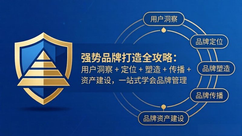 强势品牌打造全攻略:用户洞察 定位 塑造 传播 资产建设,一站式学会品牌管理-51云资源