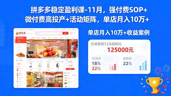 (16557期)拼多多稳定盈利课-11月,强付费SOP 微付费高投产 活动矩阵,单店月入10w-51云资源