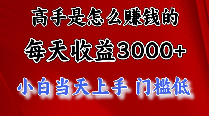 (11228期)高手是怎么赚钱的,一天收益3000 这是穷人逆风翻盘的一个项目,非常…-51云资源