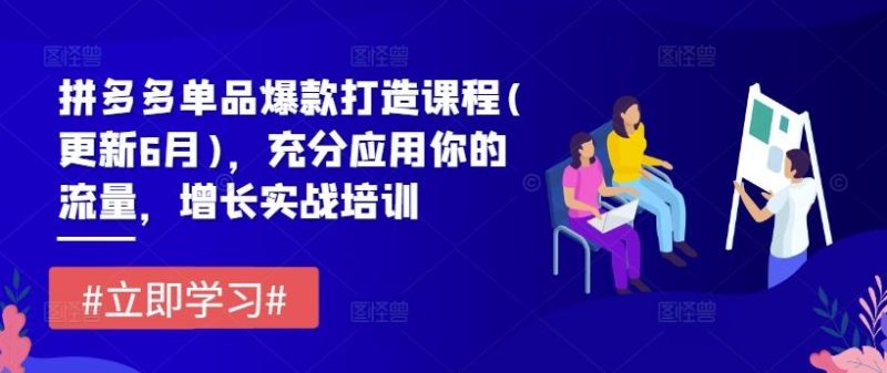 拼多多单品爆款打造课程(更新6月)，充分应用你的流量，增长实战培训-51云资源