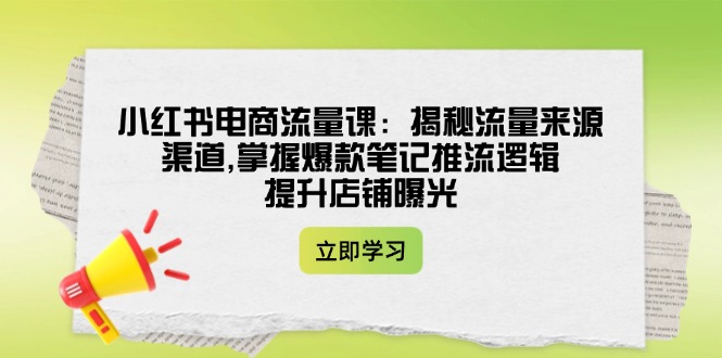 （14318期）小红书电商流量课：揭秘流量来源渠道,掌握爆款笔记推流逻辑,提升店铺曝光-51云资源