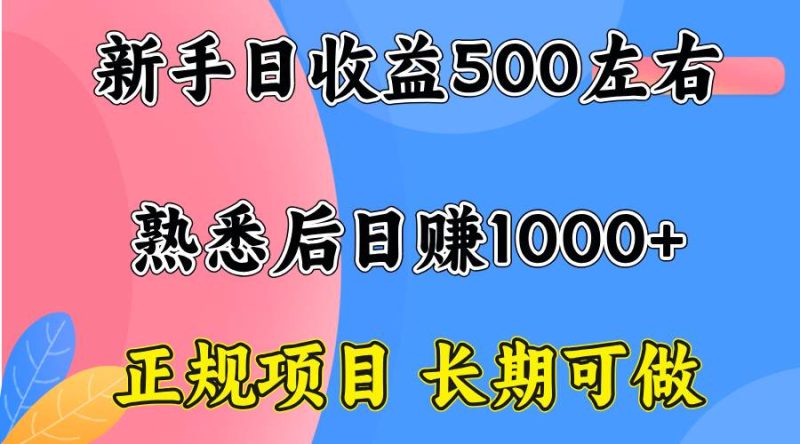 （15978期）一台电脑，前期日收益300-500，熟练后日入1000左右-51云资源