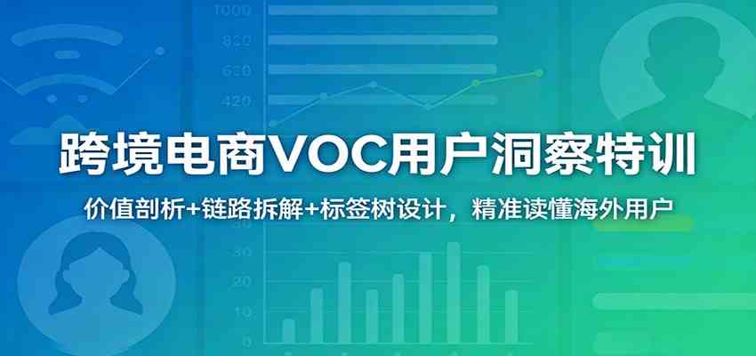 跨境电商VOC用户洞察特训：价值剖析 链路拆解 标签树设计，精准读懂海外用户-51云资源