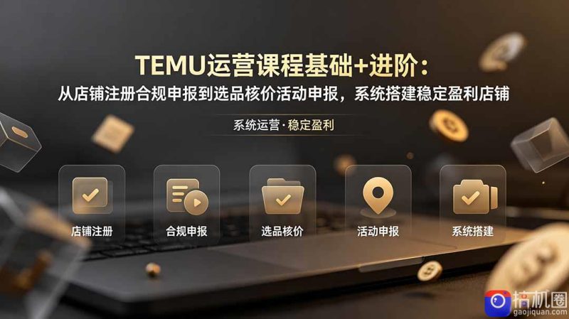 TEMU运营课程(基础 进阶-51云资源