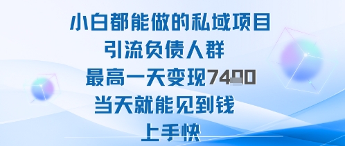 2025年小白都能做的私域项目引流负债人群最高一天变现1k 高变现难度低当天就能见到钱上手快-51云资源