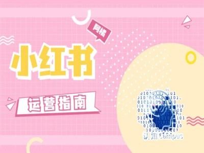 小红书运营指南,没有套路,全是经验-51云资源