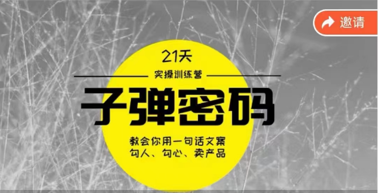 《子弹密码训练营》-用一句话文案勾人勾心卖产品，21天学到顶尖文案大师策略和技巧-51云资源