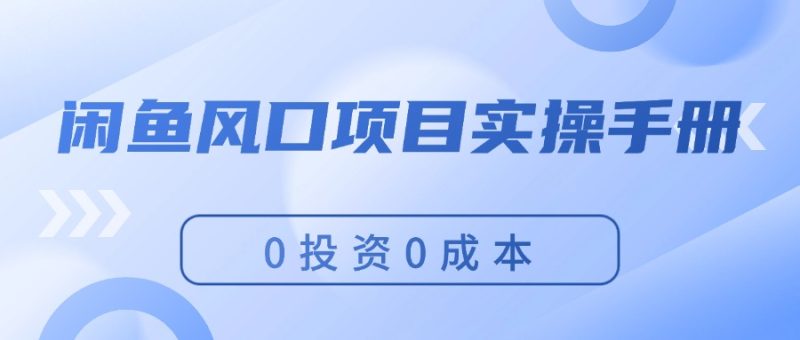 （11923期）闲鱼风口项目实操手册，0投资0成本，让你做到，月入过万，新手可做-51云资源