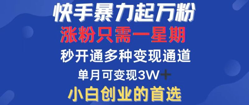 （12651期）快手暴力起万粉，涨粉只需一星期，多种变现模式，直接秒开万合，小白创…-51云资源