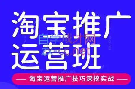 美迪电商·淘宝高级运营班 推广运营班(更新10月)-51云资源