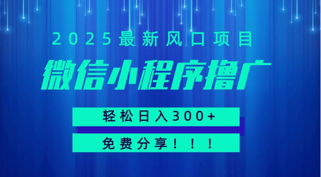 微信小程序撸广，最新风口项目，日入300  免费分享 可批量操作 小白可轻松上手！！-51云资源