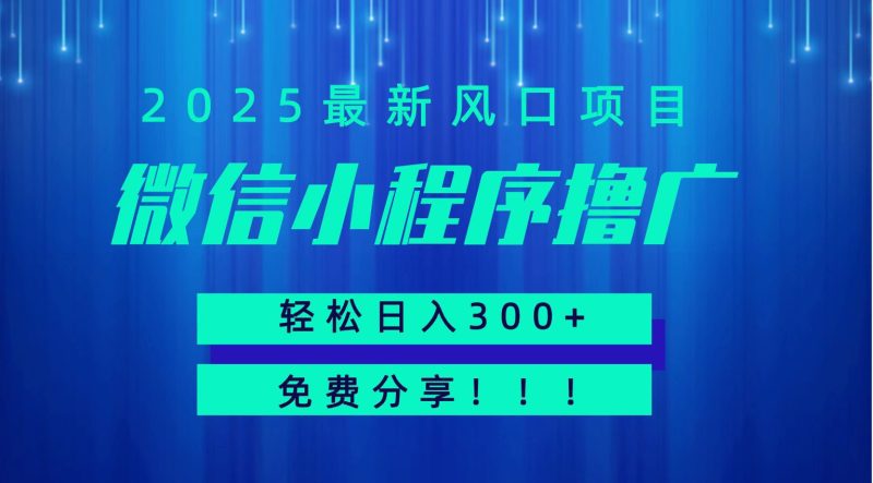 微信小程序撸广,最新风口项目,日入300 免费分享 可批量操作 小白可轻松上手!!-51云资源