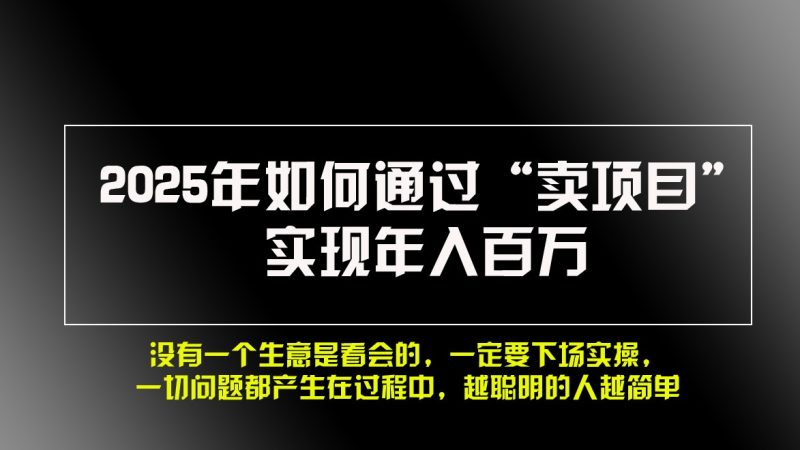 2025年如何通过“卖项目”实现年入百万-51云资源